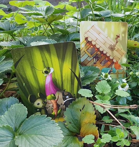 Dixit: 10. rozšíření - Mirrors